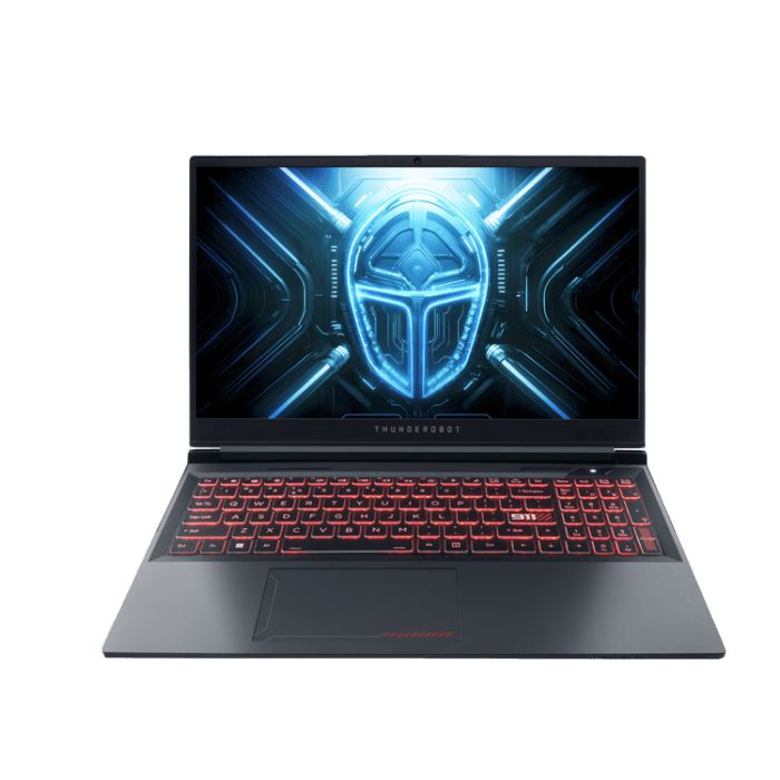 THUNDEROBOT 雷神 911