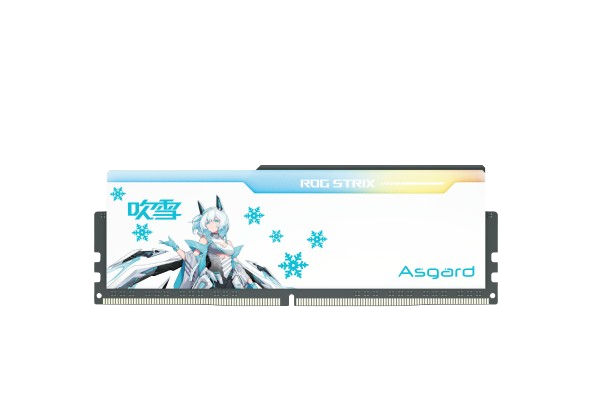 内阿斯加特 32GB| 32x4 | 128GB